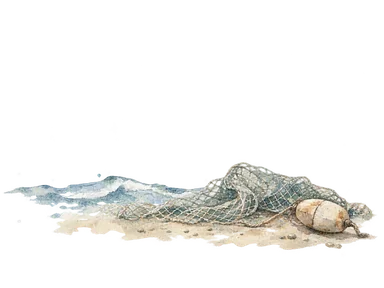 沿岸の波と漁網で海の暮らしを示す概念画