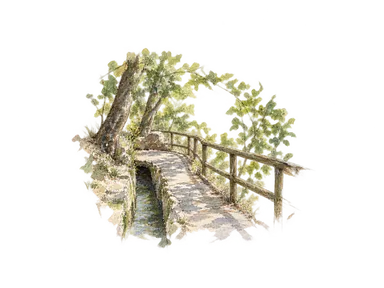 写真を参考に、水路沿いの小道と木の手すりを省略して描いた部分図。
