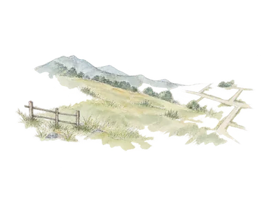 山地の草地と後の都市制度を示す線を別々に置いた歴史概念画。1909年以前の家屋や儀礼、正確な都市計画図を復元しない。