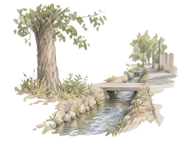 ビシュケクの並木とアリクを描いた概念画。特定の水路の再現ではありません
