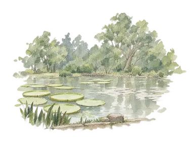 ボゴール植物園の池に浮かぶ大きな丸い葉と木立を省略した部分景。