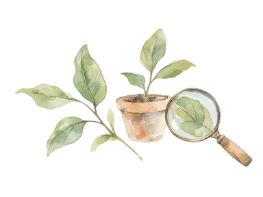 植物を学ぶ仕事を表す一般的な葉、鉢、ルーペの概念画