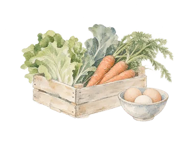 野菜の箱と卵を描いた食料市場の概念画