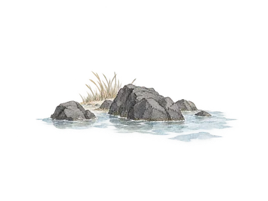 黒い火山岩と浅い水を描いた海岸地質の概念画