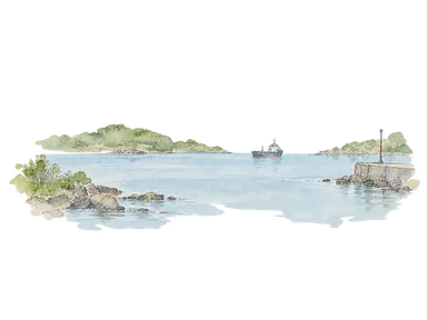 小さな入り江と遠い一般船で自然港を表す概念画。ゴール湾の海図、19世紀の艦隊や計画中の大型港湾施設の再現ではありません