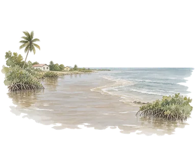低い海岸と広い河口で表したガイアナのジョージタウンの概念画。実在の水際の配置や正確な地図ではありません