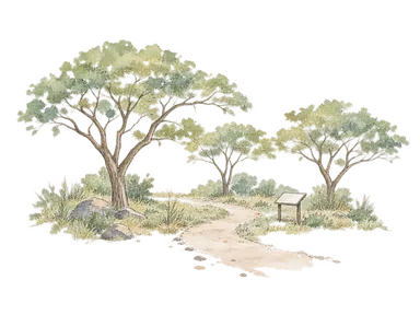 疎らな一般的な木立と短い散策路、無地の観察板を描く環境教育の概念画。ムクヴィシの実地配置や特定樹種・野生動物を再現しない。