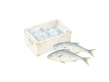 無地の保冷箱、氷と小さな一般的な魚の輪郭を描く漁業加工の概念画。2011年の工場、魚種、漁法、現在の生産量を表さない。