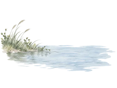 川の水面と岸辺の草木を描いた概念画