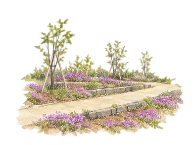 目黒天空庭園の写真で見える園路と花壇、支柱付きの若木を描いた部分水彩