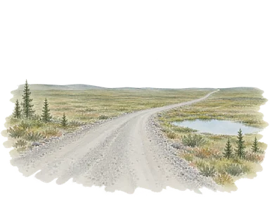 疎らな北方林から低いツンドラへ延びる砂利道の概念景観。実際の道路の特定区間、標識や路線形状の再現ではありません。