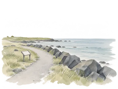 海沿いの道、護岸の石、案内板で海岸散策路を表す概念画。実際の道の線形や個別地点の再現ではありません