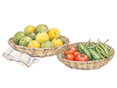 浜辺の果物と野菜の売り場を表すかごの概念画