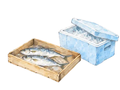 魚の箱と保冷箱で水揚げ後の保存を表した概念水彩。実際の漁港設備の再現ではない