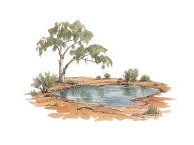 平坦な粘土の水辺とユーカリの木で自然公園の環境を表した概念画。特定の水場や先住民の文化表現ではありません