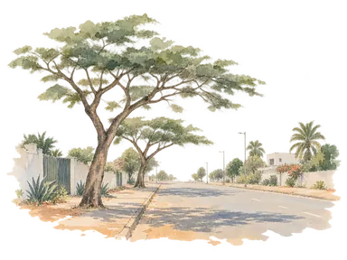 広がる樹冠と一般的な街路で並木のある市街を表す概念画。特定の通り、橋、駅や博物館の再現ではありません