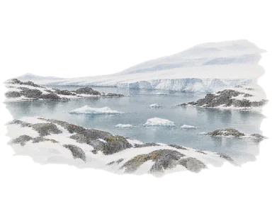 岩と雪、入り江、背後の氷床でモーソン周辺の沿岸環境を示す概念水彩。実際の港の形や縮尺を示す地図ではない。