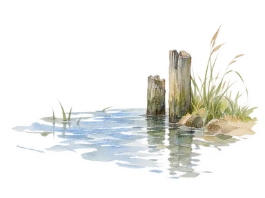 水面の小さな波と岸の草、古い木杭を描いた河口保全の概念画。実際の河道配置ではない