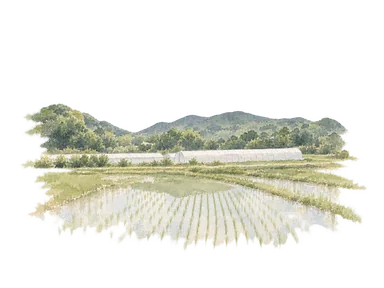 南房総市掲載の田園写真を参考に、水田と低いビニールハウス、その背後の丸い山並みを描いた水彩。地区の細分は資料に未記載。
