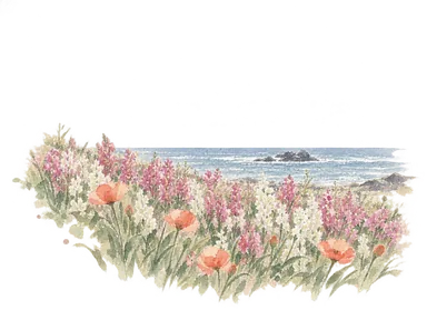 南房総市掲載の白間津の写真を参考に、海に面した花畑のストックやポピーを省略して描いた水彩。人物と車両、標識は描いていません。