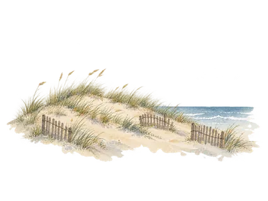 海辺の低い砂丘、草と防砂柵で表した海岸保全の概念画。実際の工事や正確な断面図ではありません