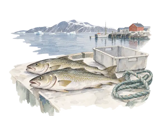 ヌークの市場に並ぶ魚をイメージした水彩