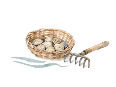 貝を入れたかごと小さな熊手を描いた採取の概念画。現地の実物道具ではない