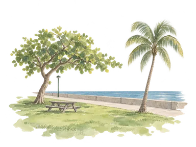 芝生、木立、食卓と海でパオファイ公園の休憩空間を表した概念画。公園の正確な配置図ではありません