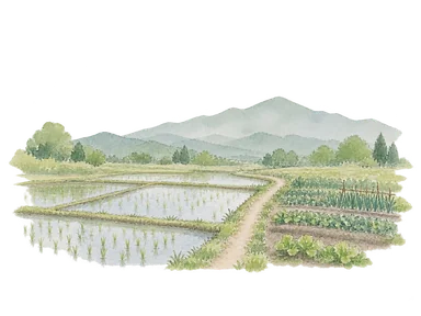 パロ県の農業を示す水田と畑の概念画。特定の農家や区画の再現ではない。