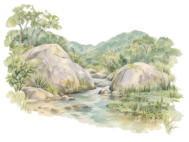 花崗岩の岩、川と湿地でプララン島の集水域を表す概念画。実際の水路、滝、取水施設や固有種の再現ではありません
