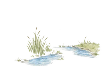 二つの川の間の居住を表す一般的な水辺の概念画