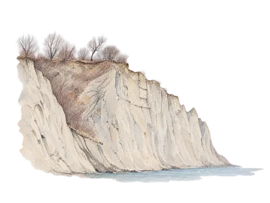2020年の写真を参考に、灰白の土の崖と上の裸木、下の湖面を簡略に描いた部分景