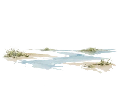 河口の浅い水路と草地を描いた概念図。サド川の島や水路の配置は再現していない