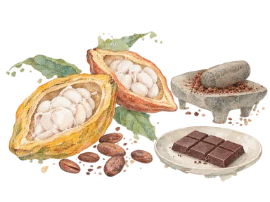 開いたカカオの実、豆、一般的な挽き道具とチョコレートで原料と加工を表す概念画。施設の実物商品や設備ではありません