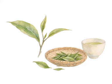 茶の枝、葉を入れる籠と茶碗の概念的な水彩。特定の茶園景観や道具の実物を再現したものではない。