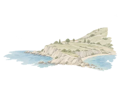 湾岸、崖、高台に広がる住宅と商業を示す概念水彩。実在の地区境界図や特定施設の配置ではない