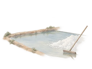 塩の結晶池と木の収穫道具を表す概念画。特定のタヴィラの塩田や道具型の再現ではない。