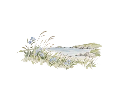 水辺の草地と植物を表す概念画