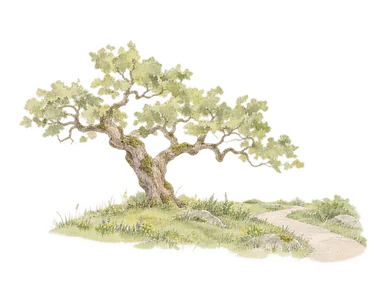 オークの木と自然草地を表す概念画