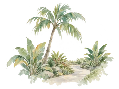 ヤシ、低木と小径で表した熱帯植物園の概念画。特定の樹木や国立植物園の配置を再現した標本画ではありません
