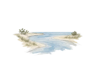 川岸の砂地と低い草地を描いた一般的な河口の概念画