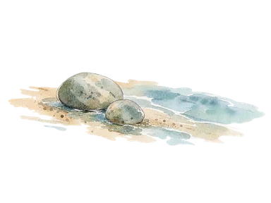海辺の丘と浜を表す、丸い石と淡い砂、水の概念画。実際の地図ではない