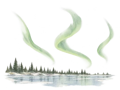 針葉樹の低い岸と淡い光の帯でオーロラを表した概念画。特定日の観測や毎晩の出現を示していません