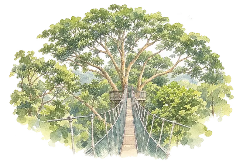 Forest Research Institute Malaysia Forest Park Selangorの水彩スケッチ
