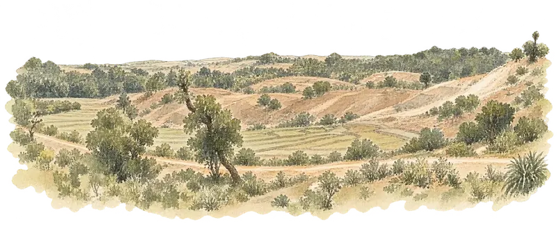 Sangiran Early Man Siteの水彩スケッチ